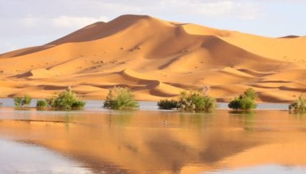 Motorcycling in Morocco