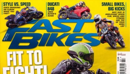 My bike hit a dog that ran out in front of me